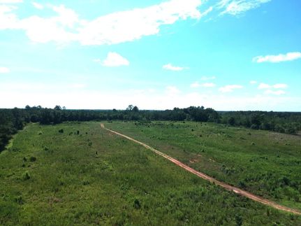 Undeveloped Land for sale in Randolph County, Georgia