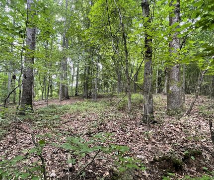 Undeveloped Land for sale in Heard County, Georgia