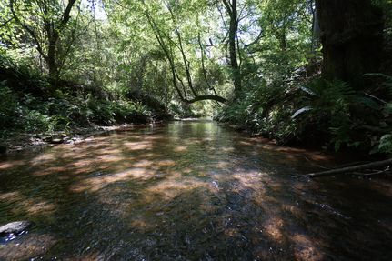 Undeveloped Land for sale in Henry County, Georgia
