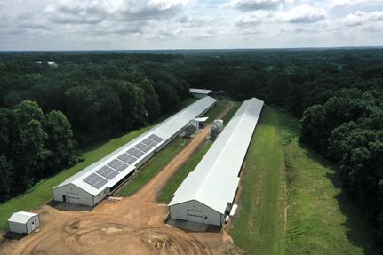 Land for sale in Graves County, Kentucky