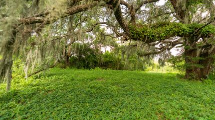 Timberland Property for sale in Jackson County, Mississippi