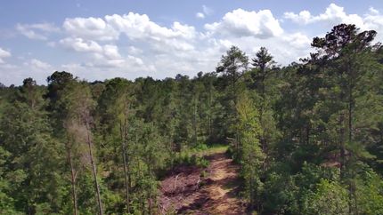 Timberland Property for sale in Shelby County, Alabama