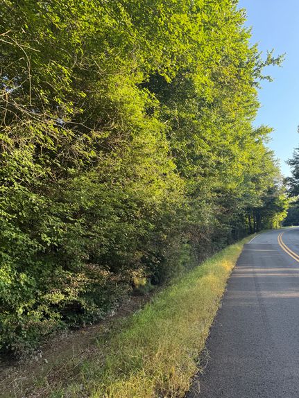 Land for sale in Etowah County, Alabama