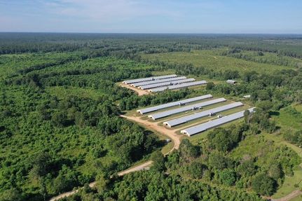 Land for sale in Wayne County, Mississippi