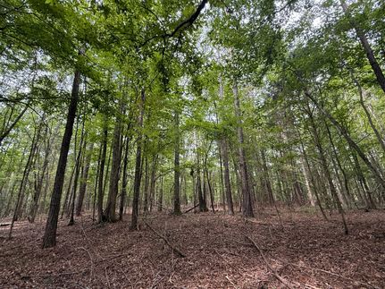 Farm and Ranch for sale in Pickens County, Alabama