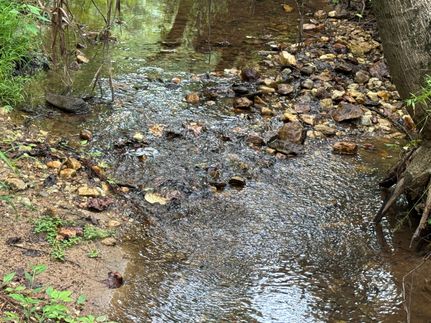 Undeveloped Land for sale in Lee County, Alabama