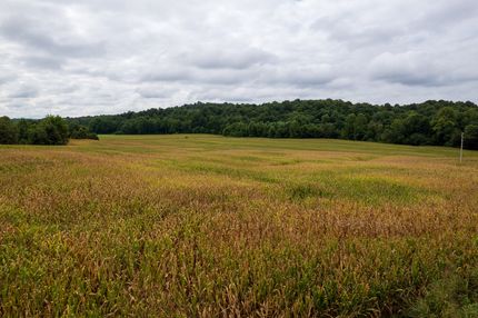 Timberland Property for sale in Ohio County, Kentucky