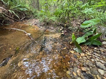 Land for sale in Coosa County, Alabama