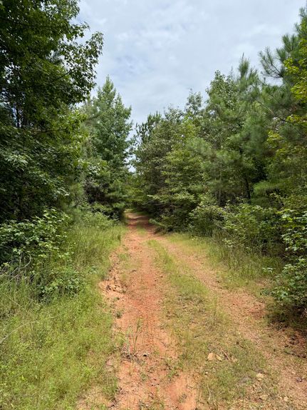 Timberland Property for sale in Cleburne County, Alabama