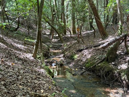 Timberland Property for sale in Winston County, Alabama