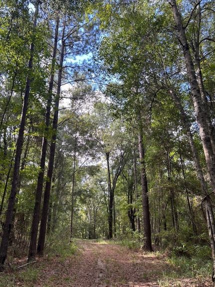 Recreational Property for sale in Dale County, Alabama
