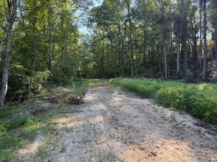 Recreational Property for sale in Coosa County, Alabama