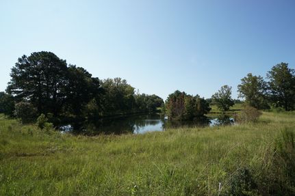 Land for sale in Coweta County, Georgia