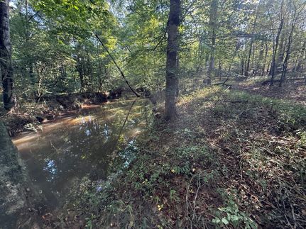 Timberland Property for sale in Coosa County, Alabama