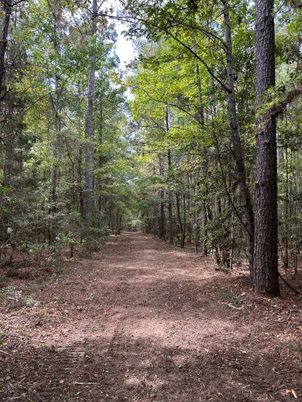 Hunting Property for sale in Conecuh County, Alabama
