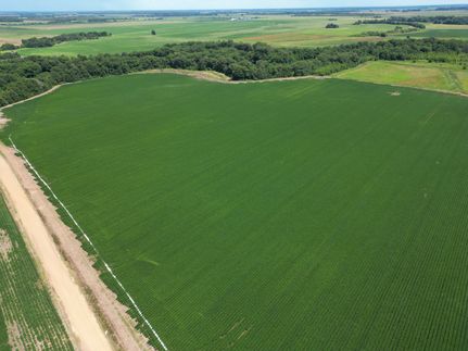 Land for sale in Tallahatchie County, Mississippi