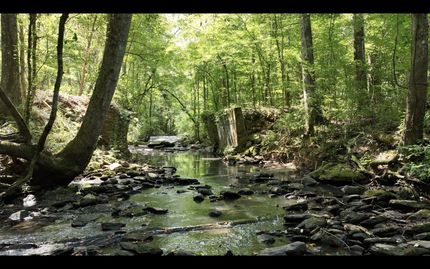 Homesite for sale in Lee County, Alabama