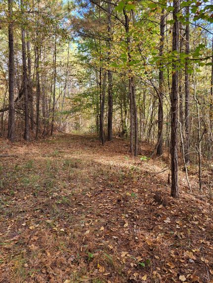 Timberland Property for sale in Talladega County, Alabama
