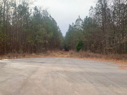 Undeveloped Land for sale in Floyd County, Georgia
