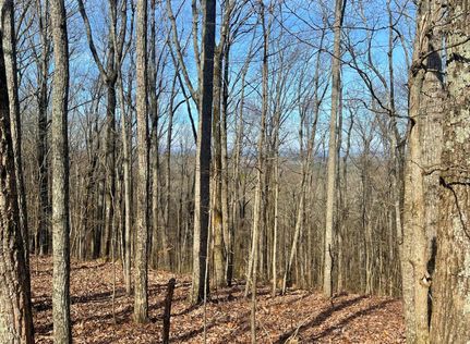 Land for sale in Cleburne County, Alabama