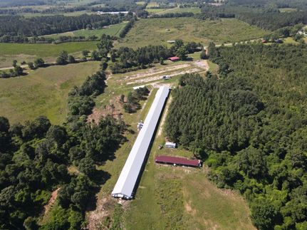 Land for sale in Covington County, Alabama