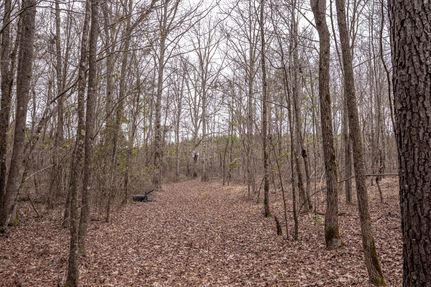 Land for sale in Leake County, Mississippi