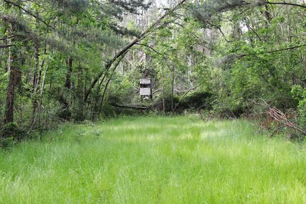 Recreational Property for sale in Tangipahoa Parish, Louisiana