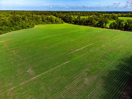 Farm and Ranch for sale in Houston County, Alabama