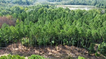 Land for sale in Troup County, Georgia