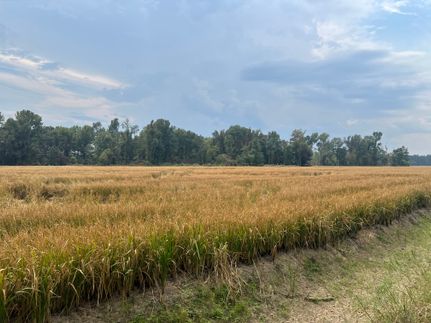 Land for sale in Phillips County, Arkansas