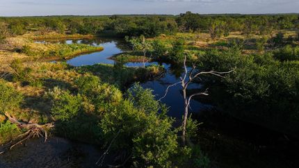 Farm and Ranch for sale in Throckmorton County, Texas