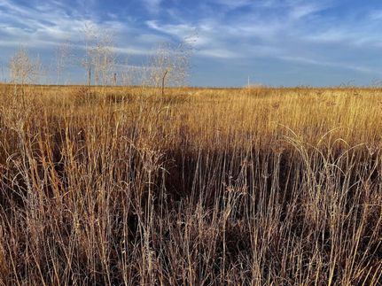 Land for sale in Kiowa County, Colorado