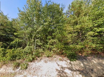 Undeveloped Land for sale in Cherokee County, Alabama
