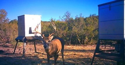 Hunting Property for sale in Val Verde County, Texas