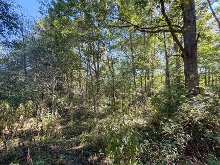 Farm and Ranch for sale in Harrison County, Ohio