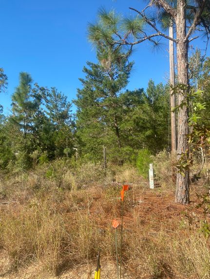 Timberland Property for sale in Putnam County, Florida