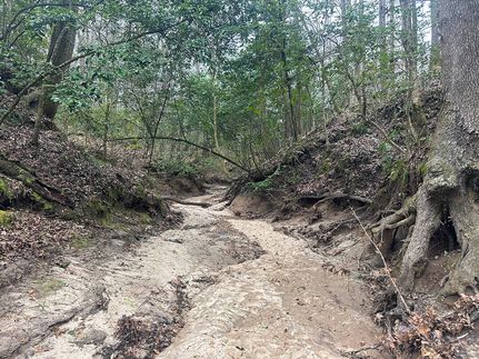 Land for sale in Adams County, Mississippi