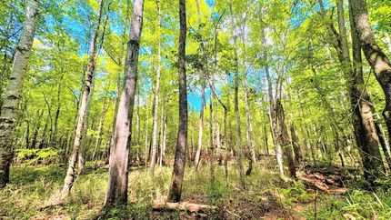 Recreational Property for sale in Wilkinson County, Georgia