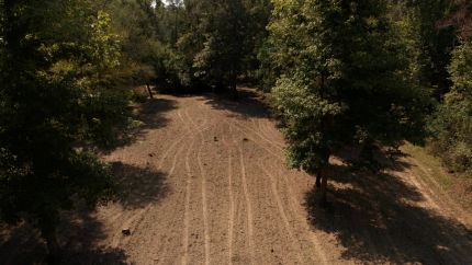 Farm and Ranch for sale in Claiborne Parish, Louisiana