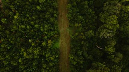 Farm and Ranch for sale in Lincoln Parish, Louisiana