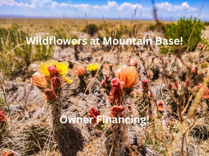 Undeveloped Land in Costilla County, Colorado