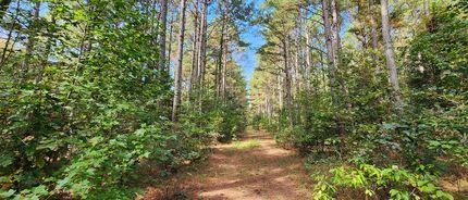 Timberland Property for sale in Isle of Wight County, Virginia