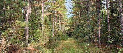 Land for sale in Isle of Wight County, Virginia