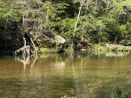 Riverfront Property for sale in Douglas County, Missouri