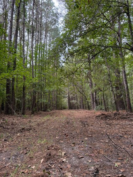 Timberland Property for sale in Orangeburg County, South Carolina
