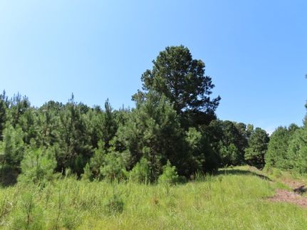 Undeveloped Land for sale in Richland County, South Carolina