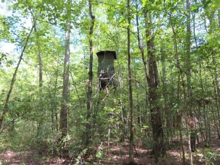 Undeveloped Land for sale in Newberry County, South Carolina