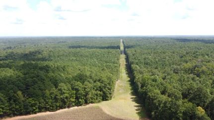 Commercial Property for sale in Newberry County, South Carolina
