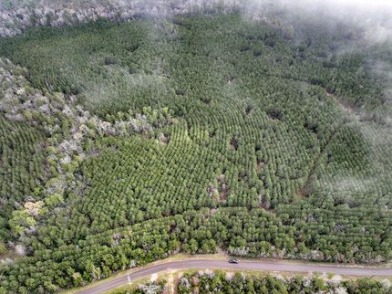 Hunting Property for sale in Houston County, Texas