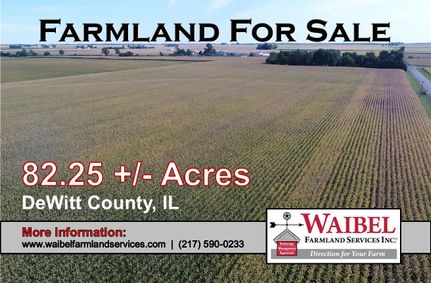 Land for sale in DeWitt County, Illinois